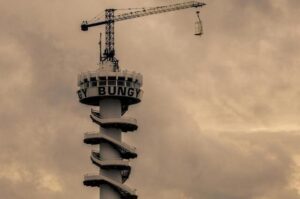 Nederlandsche onderzoekers